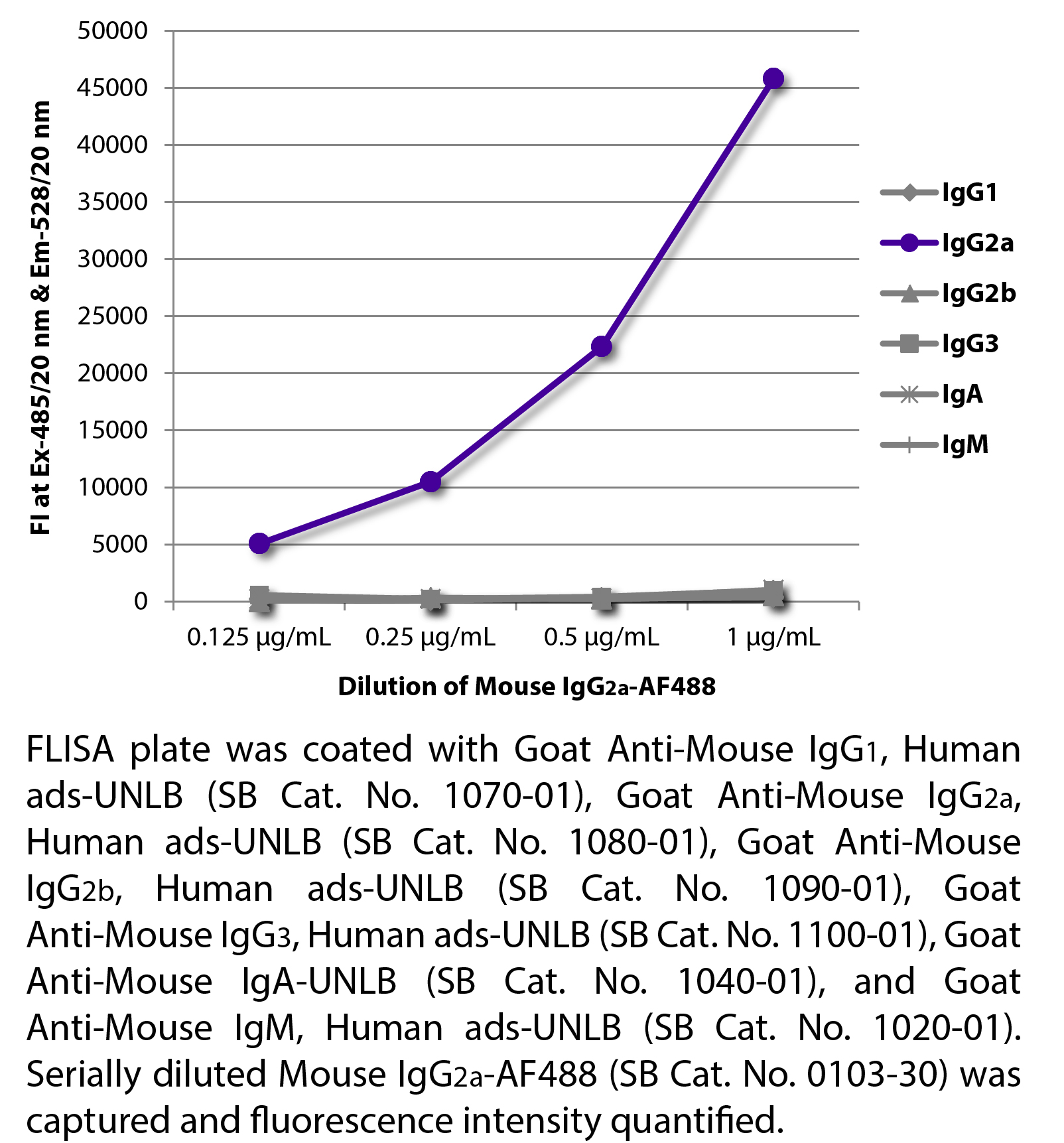 Mouse IgG2a-AF488 - 100 tests