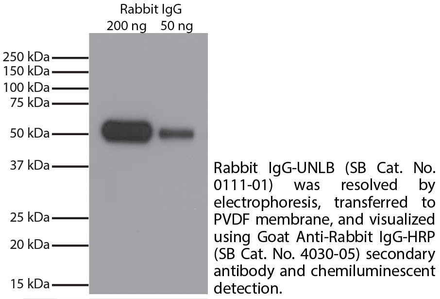 Rabbit IgG-UNLB - 10 mg