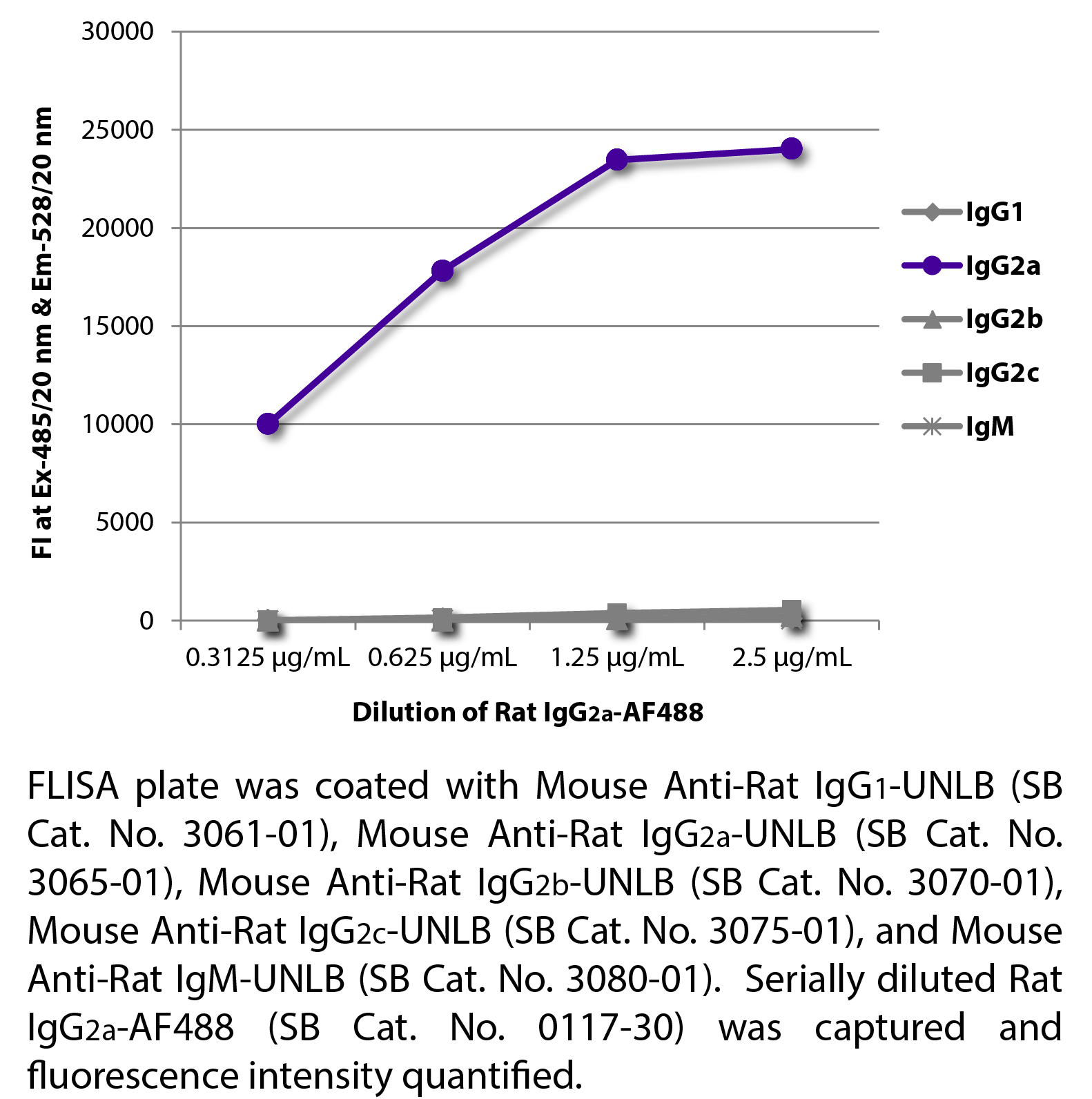 Rat IgG2a-AF488 - 0.1 mg