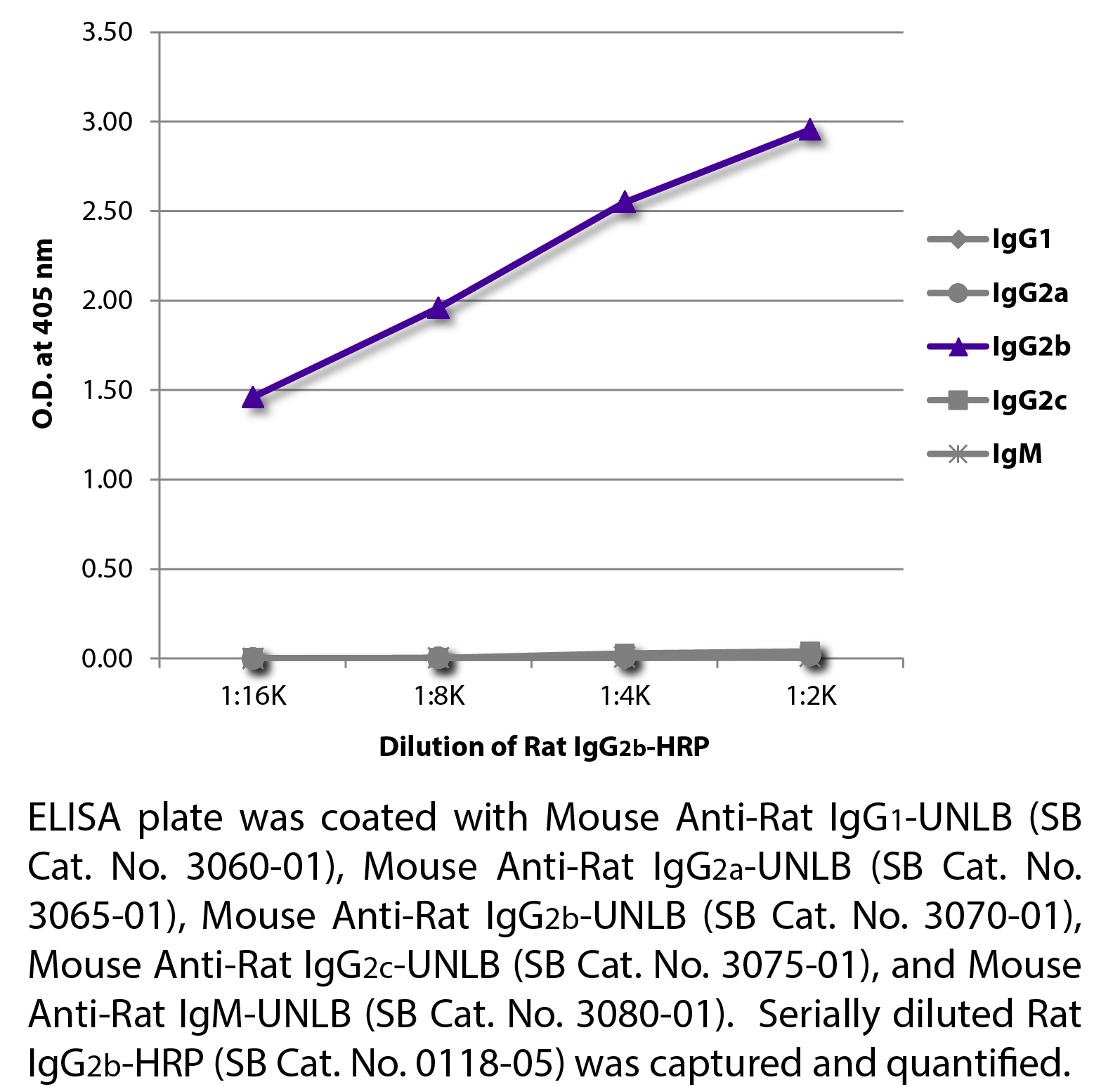 Rat IgG2b-HRP - 1.0 mL