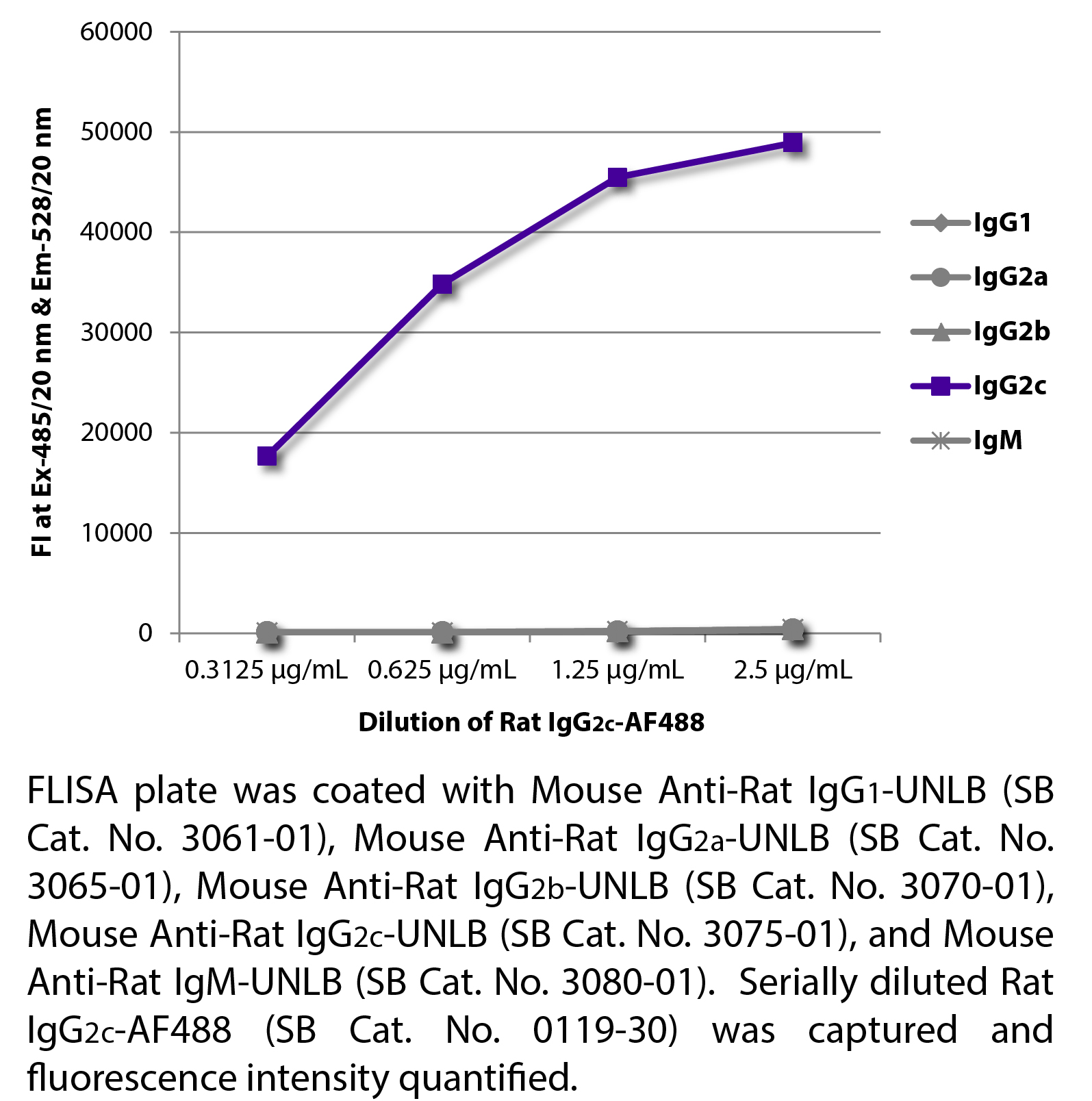 Rat IgG2c-AF488 - 0.1 mg