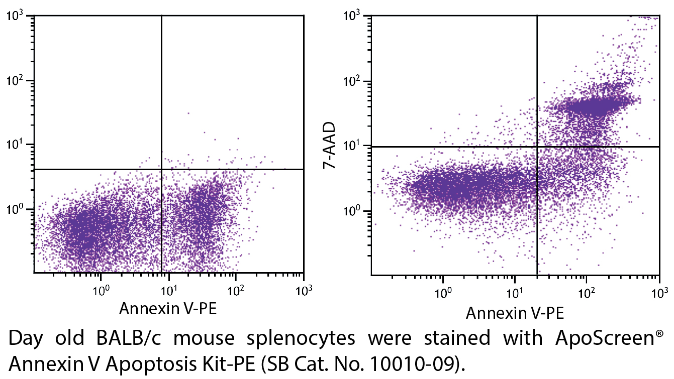 ApoScreen® Annexin V Apoptosis Kit-PE - 100 tests