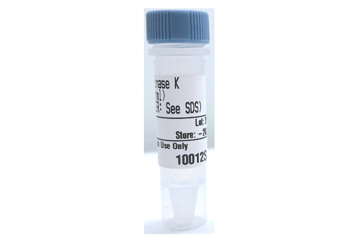 Proteinase K (20 mg/ml) - 100 ul