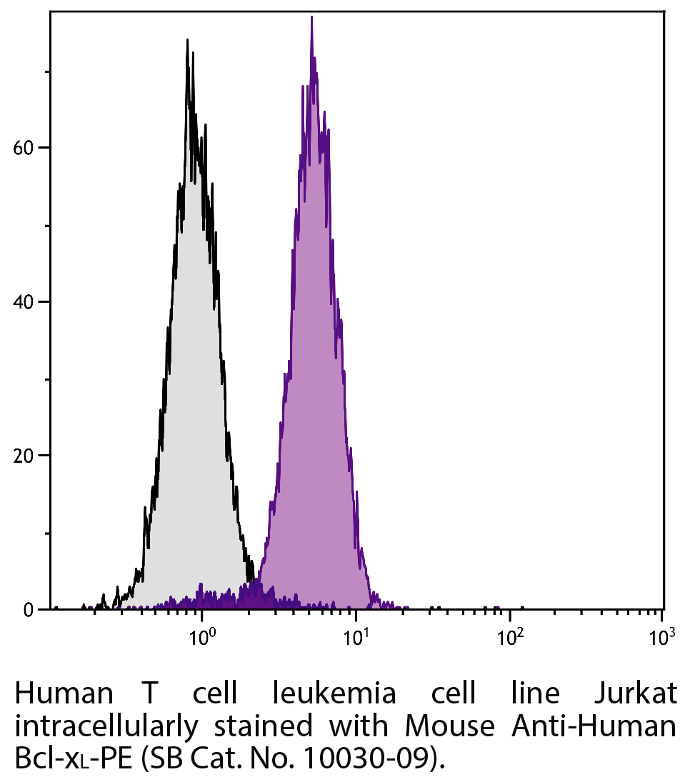 Mouse Anti-Bcl-xL-PE - 0.1 mg