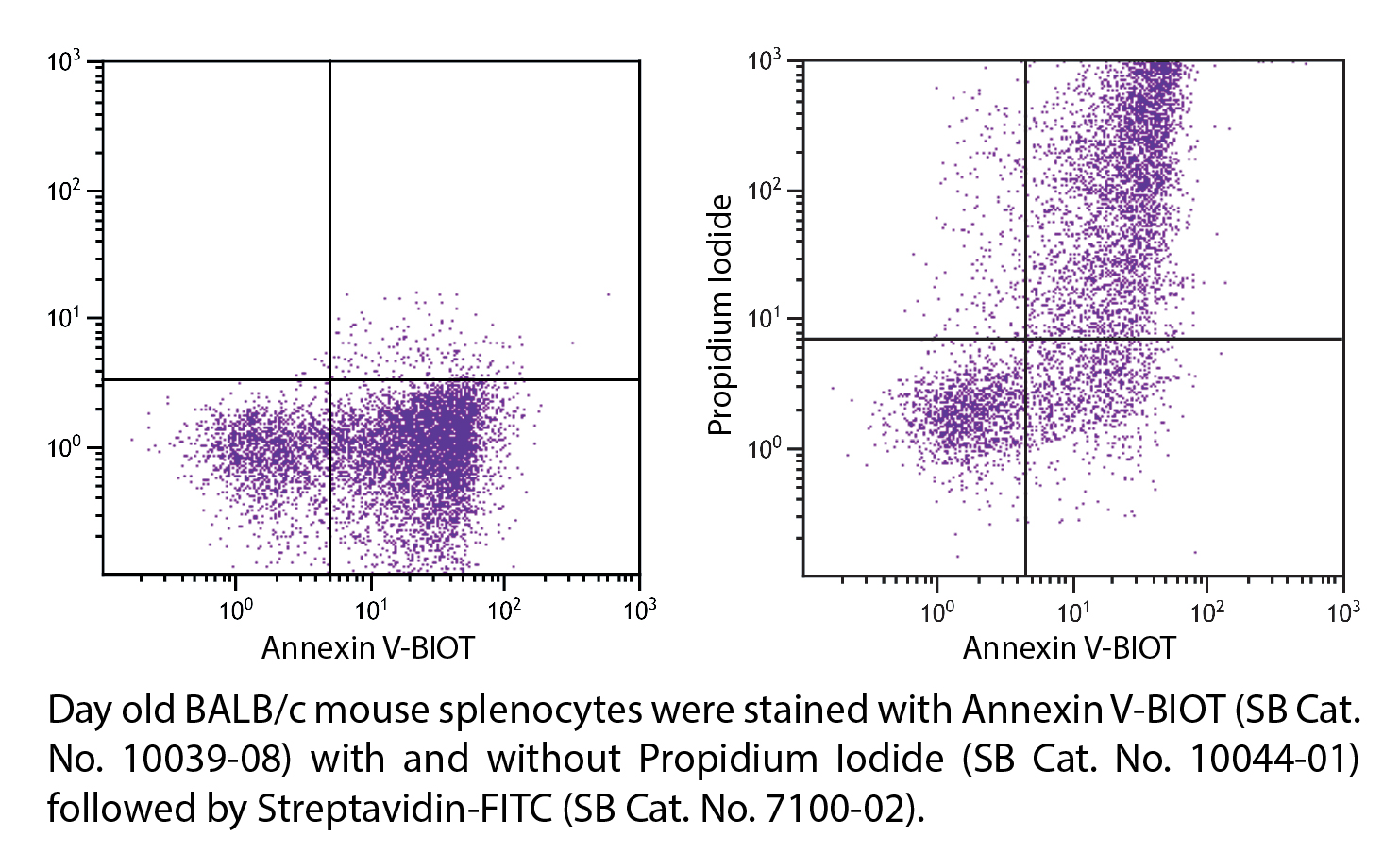 ApoScreen® Annexin V-BIOT - 100 tests