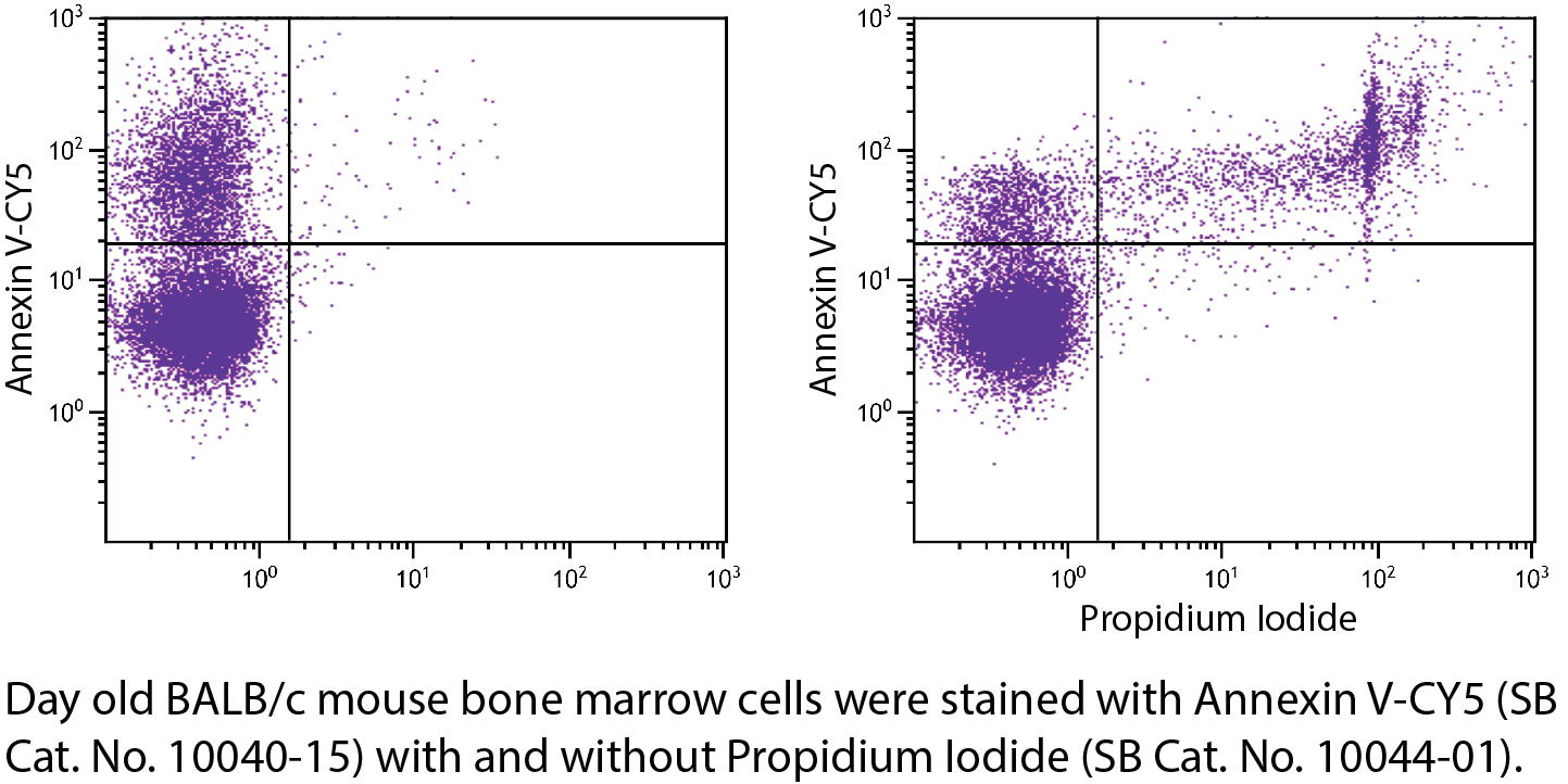 ApoScreen® Annexin V-CY5 - 100 tests