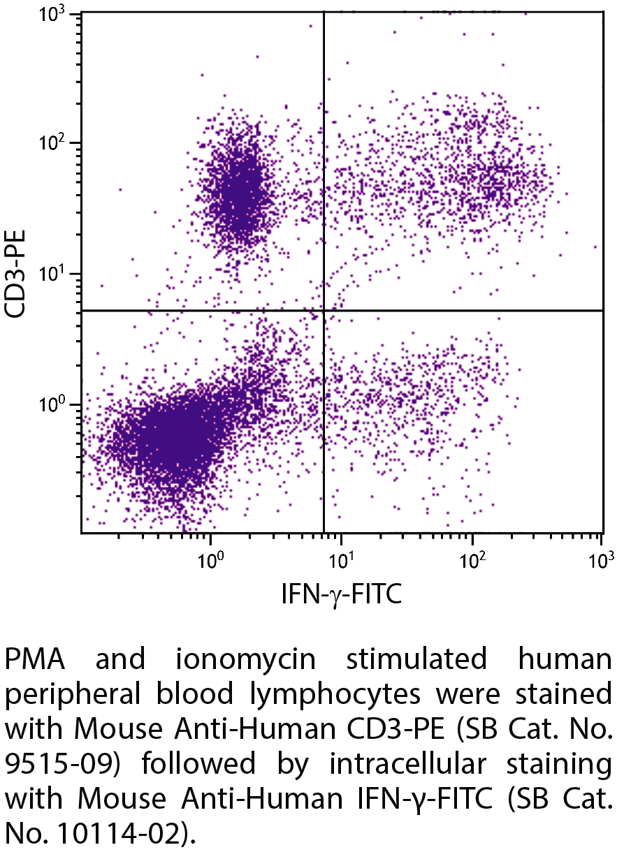 Mouse Anti-Human IFN-γ-FITC - 100 tests