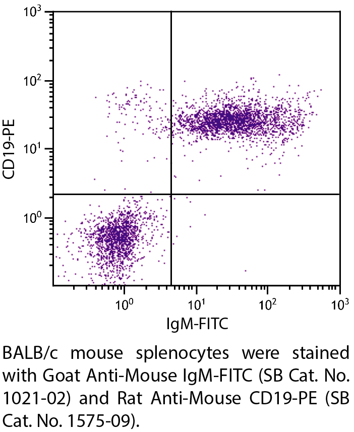 Goat Anti-Mouse IgM-FITC - 1.0 mg