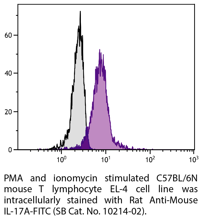 Rat Anti-Mouse IL-17A-FITC - 0.1 mg