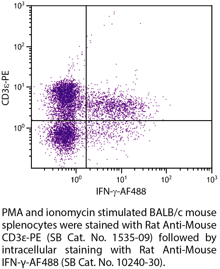 Rat Anti-Mouse IFN-γ-AF488 - 0.1 mg