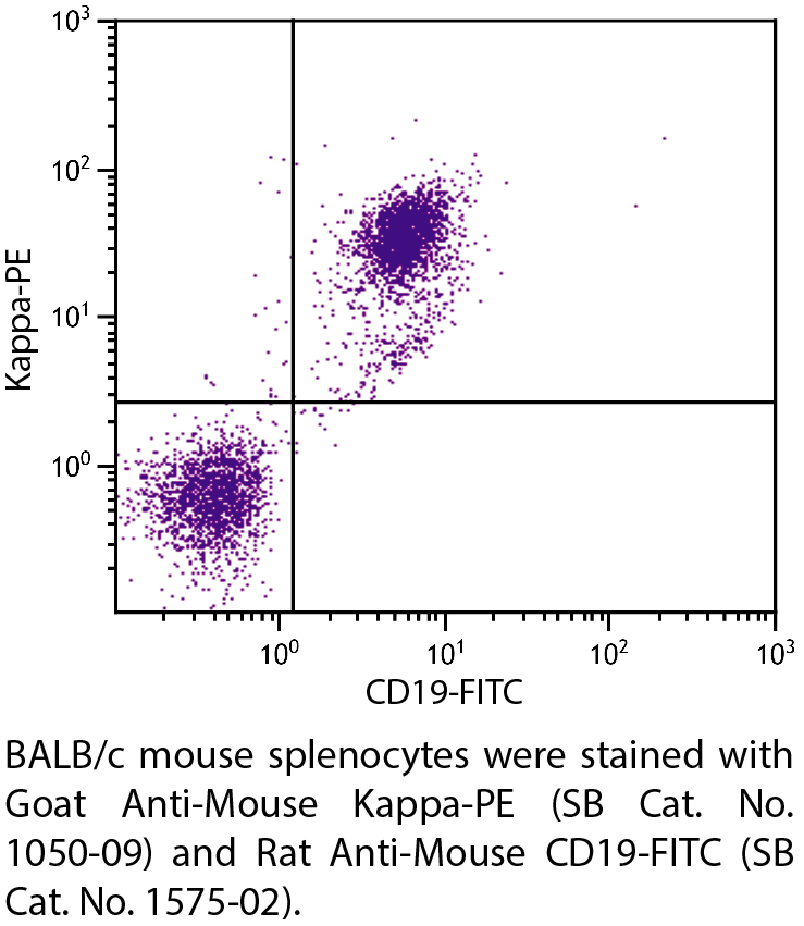 Goat Anti-Mouse Kappa-PE - 0.5 mg