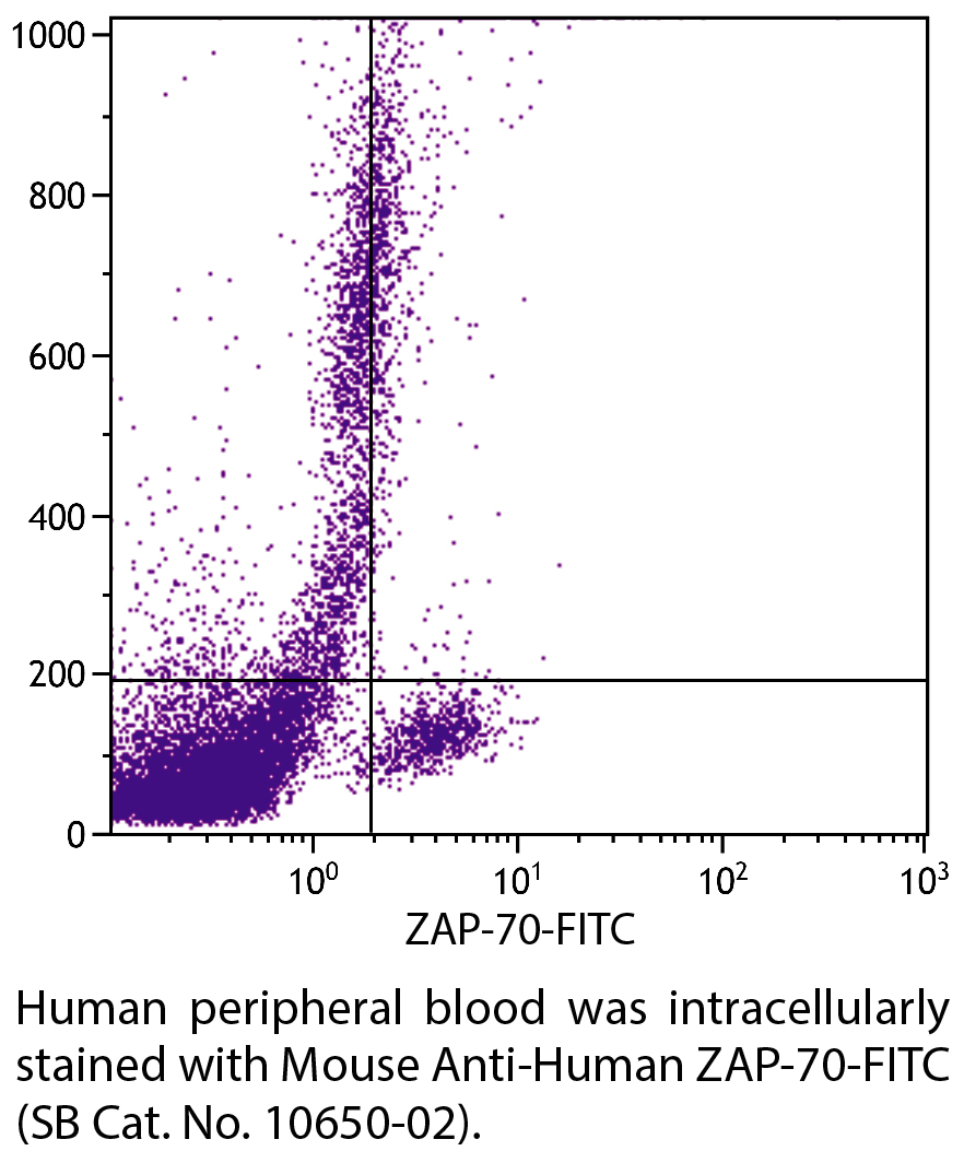 Mouse Anti-Human ZAP-70-FITC - 0.1 mg