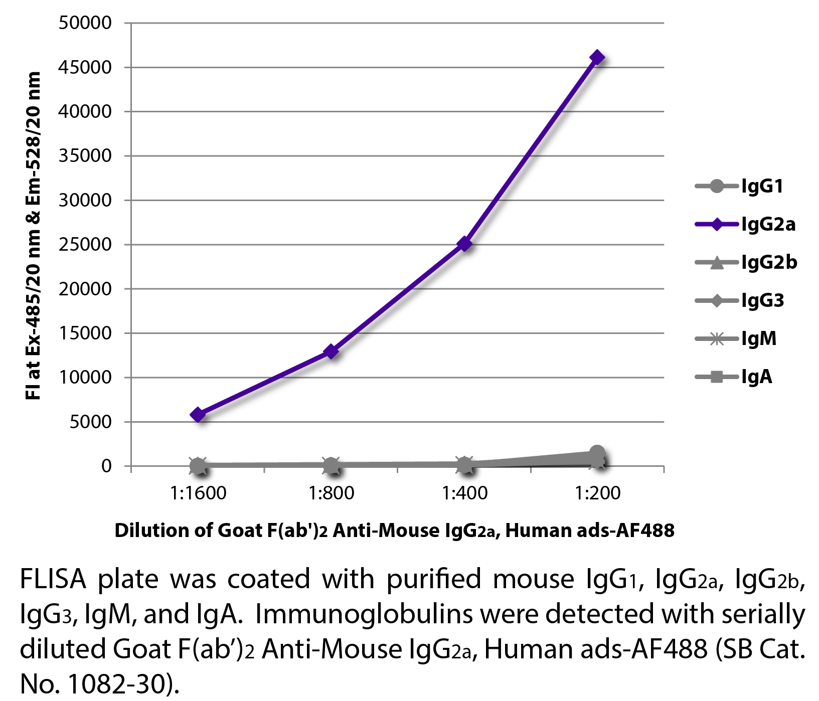 Goat F(ab')2 Anti-Mouse IgG2a, Human ads-AF488 - 0.5 mg