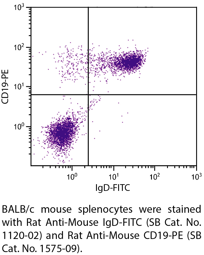 Rat Anti-Mouse IgD-FITC - 0.5 mg