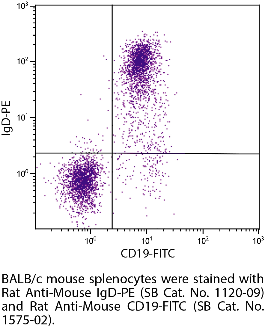 Rat Anti-Mouse IgD-PE - 0.1 mg