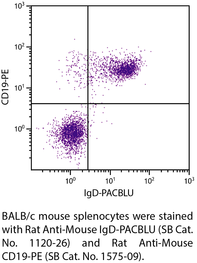 Rat Anti-Mouse IgD-PACBLU - 0.1 mg