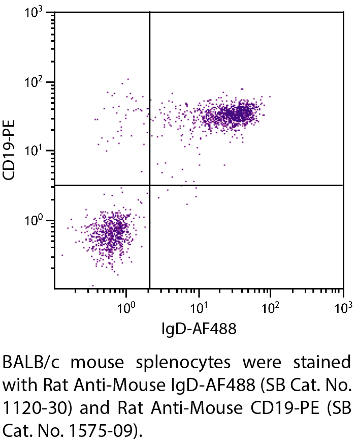 Rat Anti-Mouse IgD-AF488 - 0.1 mg