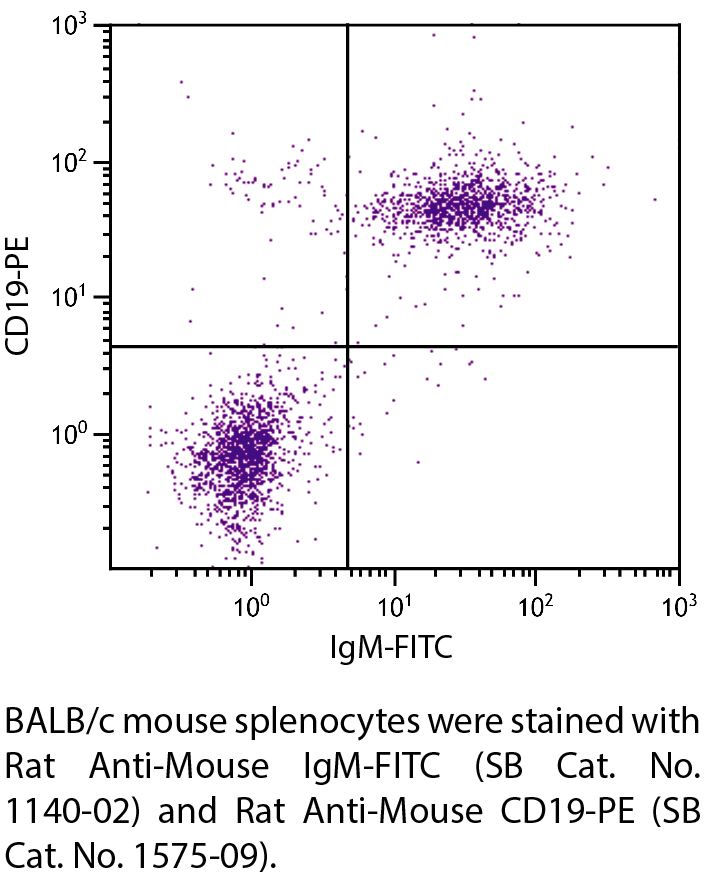 Rat Anti-Mouse IgM-FITC - 0.5 mg