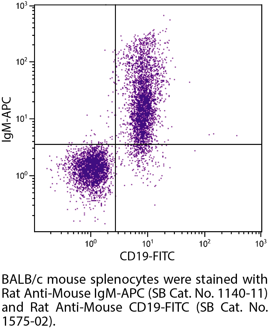 Rat Anti-Mouse IgM-APC - 0.1 mg