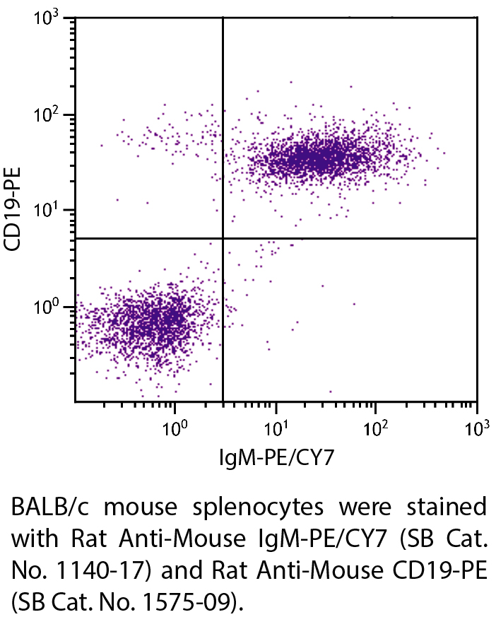 Rat Anti-Mouse IgM-PE/CY7 - 0.1 mg