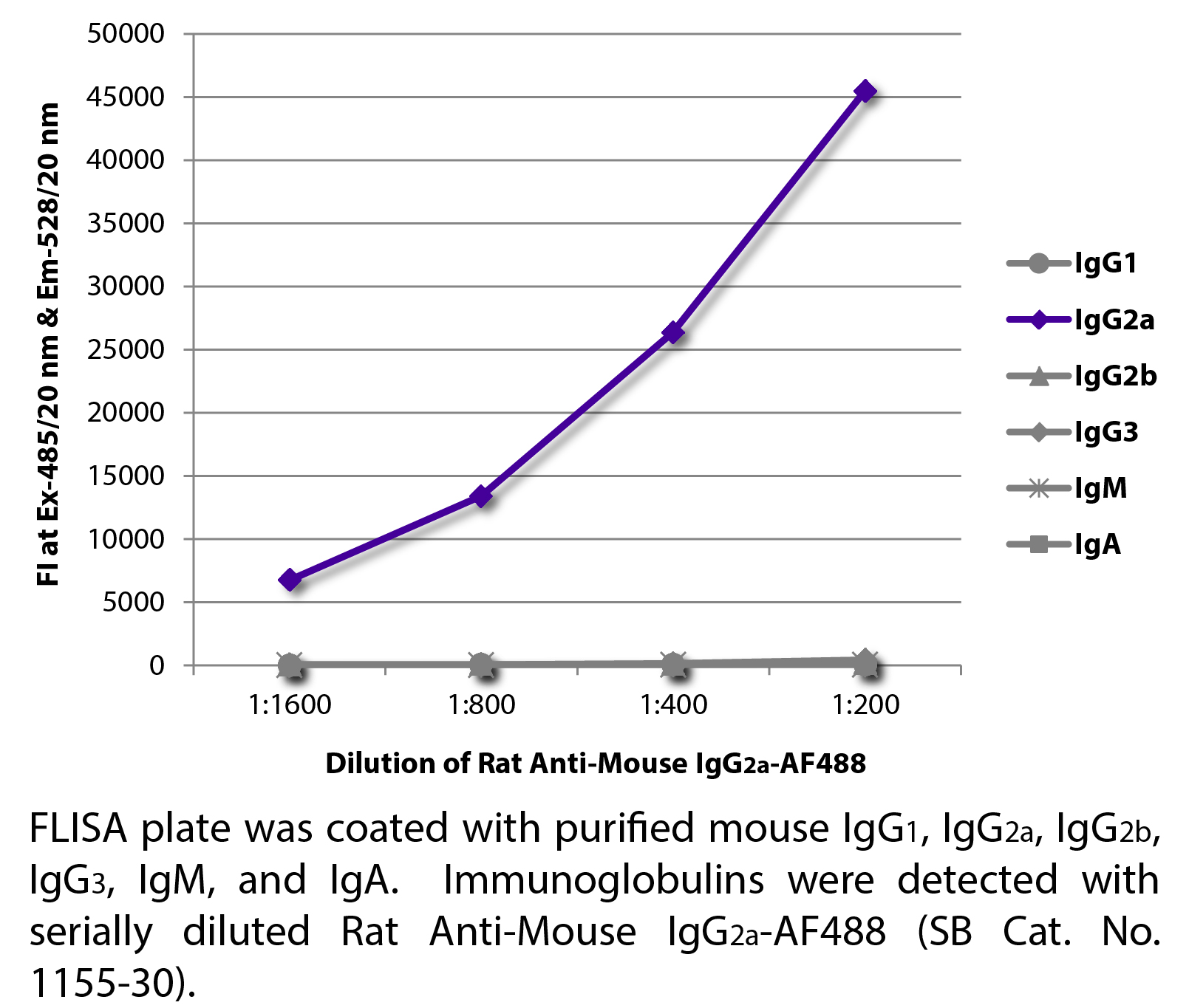 Rat Anti-Mouse IgG2a-AF488 - 0.1 mg