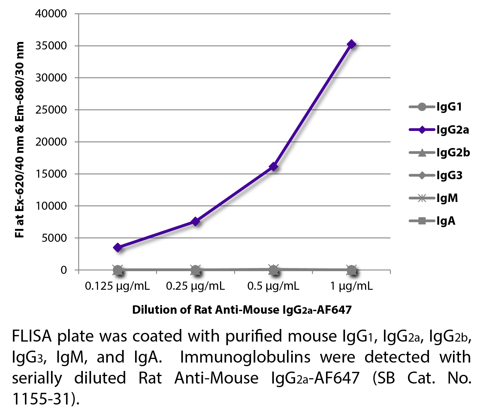 Rat Anti-Mouse IgG2a-AF647 - 0.1 mg