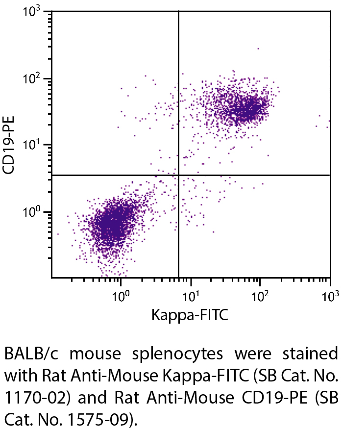 Rat Anti-Mouse Kappa-FITC - 0.5 mg