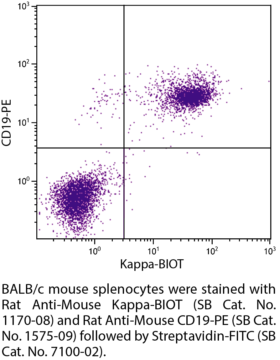 Rat Anti-Mouse Kappa-BIOT - 0.5 mg