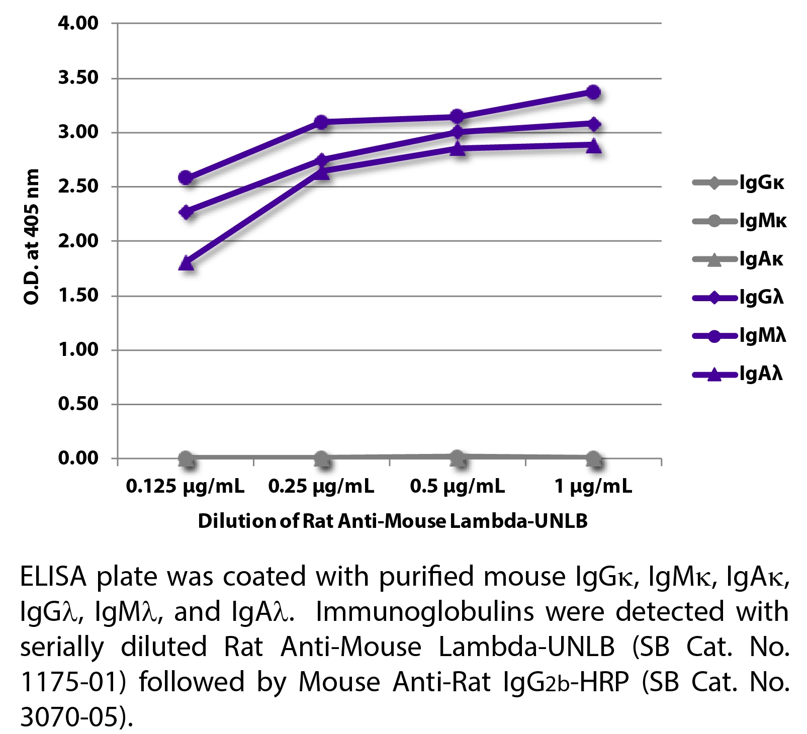 Rat Anti-Mouse Lambda-UNLB - 0.5 mg