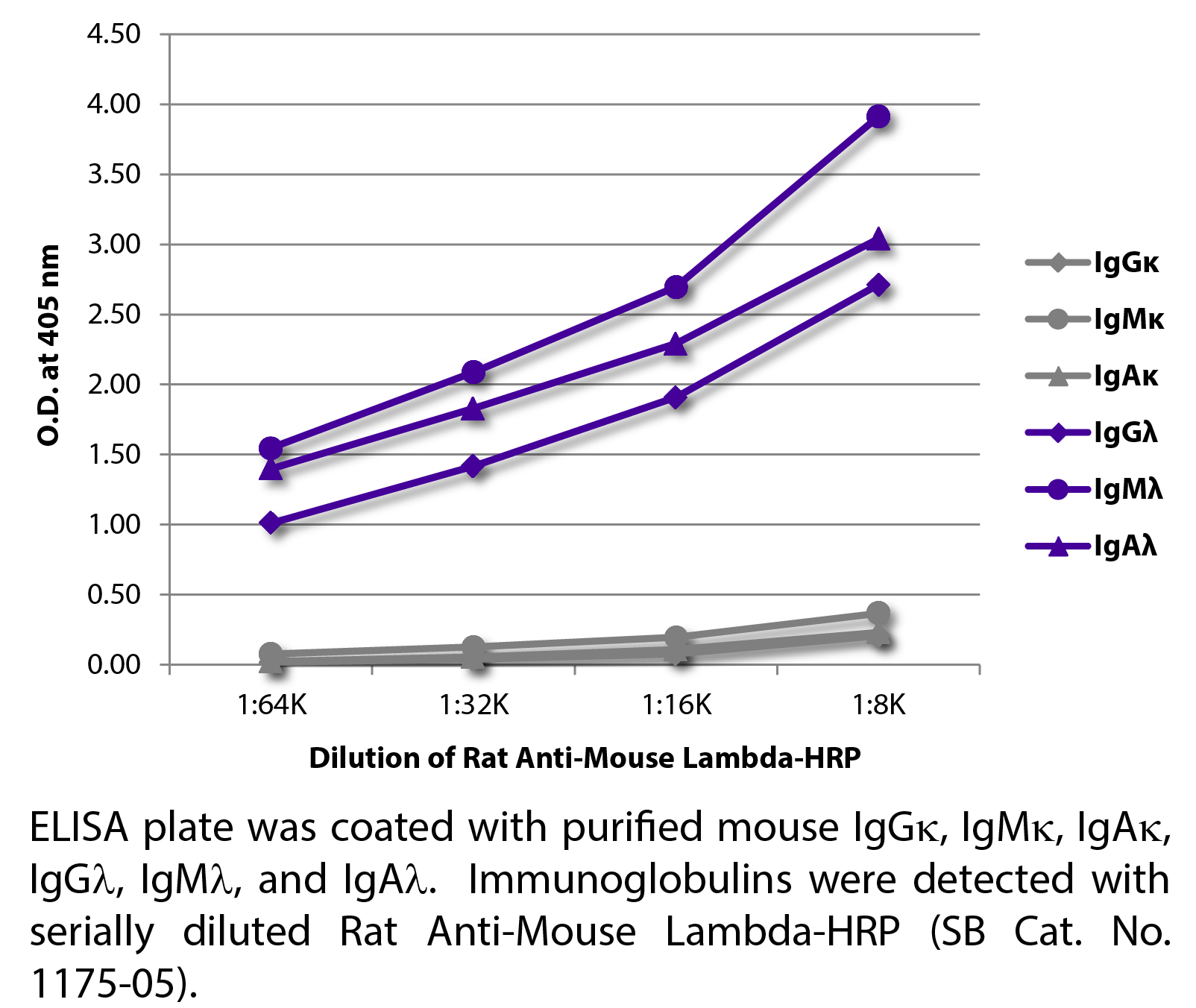 Rat Anti-Mouse Lambda-HRP - 1.0 mL