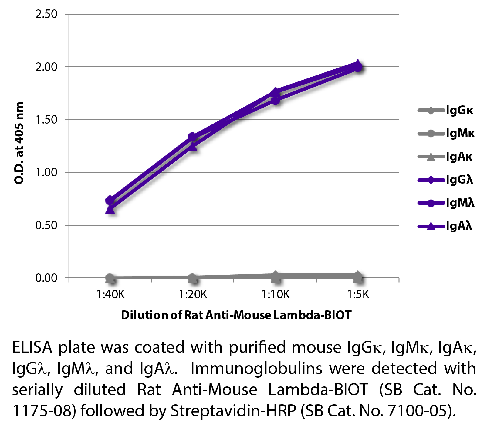 Rat Anti-Mouse Lambda-BIOT - 0.5 mg