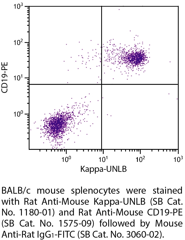 Rat Anti-Mouse Kappa-UNLB - 0.5 mg