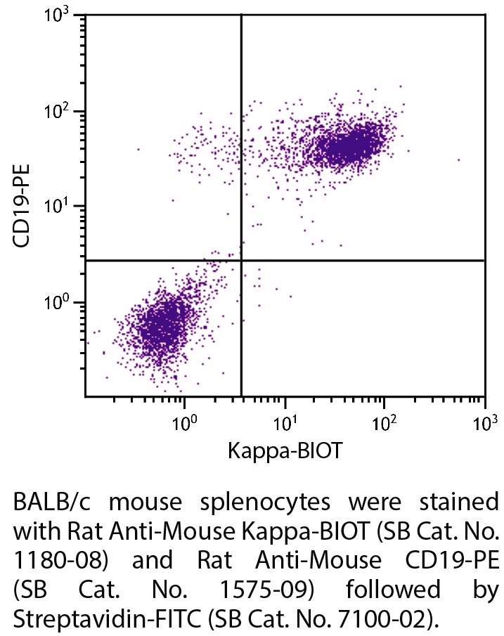 Rat Anti-Mouse Kappa-BIOT - 0.5 mg