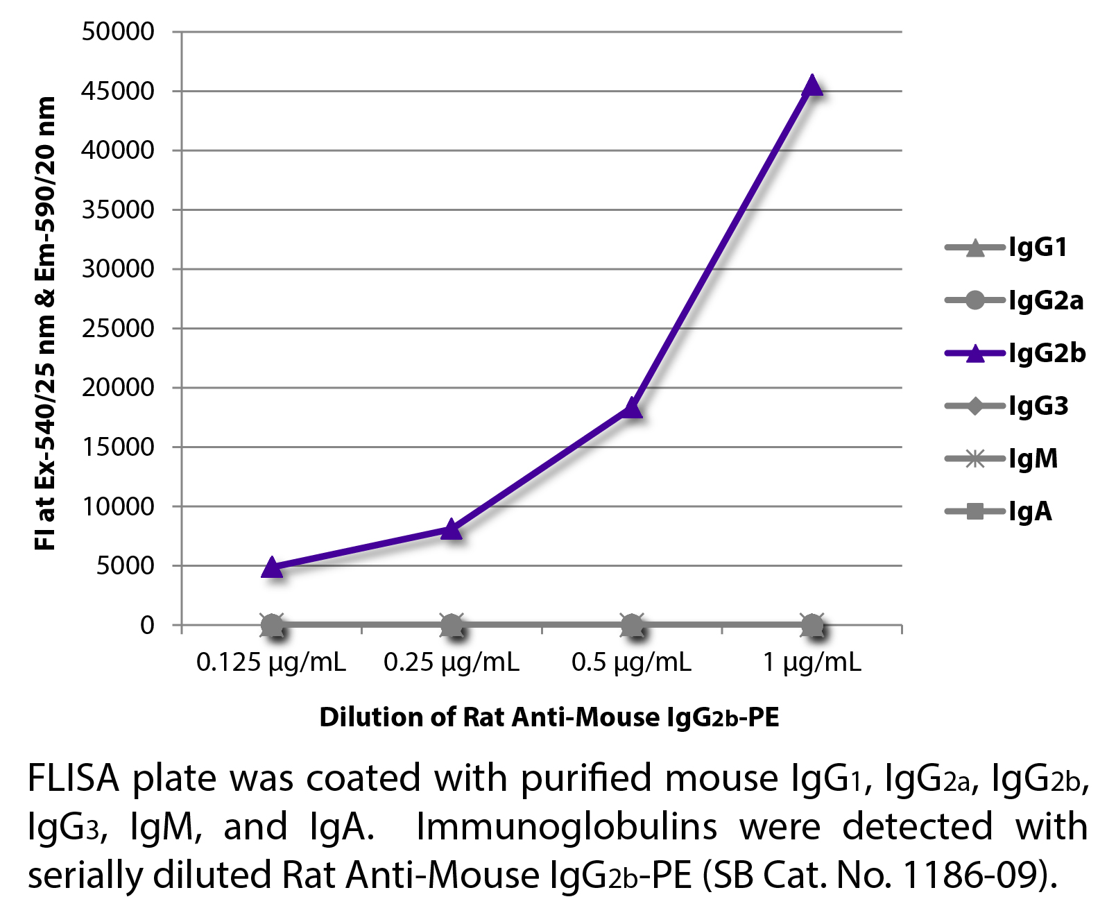 Rat Anti-Mouse IgG2b-PE - 0.1 mg