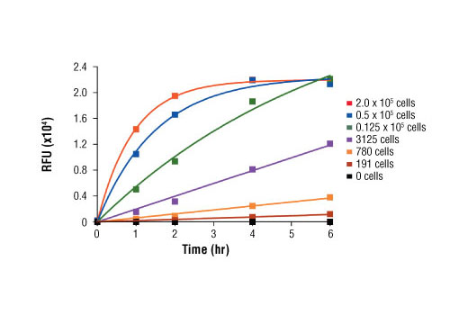 Resazurin Cell Viability Kit - 25 milliliters each