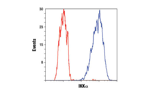 NF-κB Pathway Antibody Sampler Kit - 1 Kit