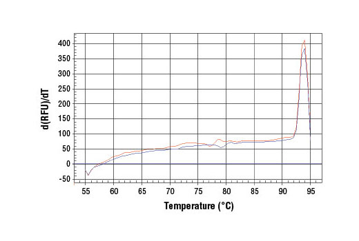 SimpleChIP® Human CDKN1B Promoter Primers - 500 ul