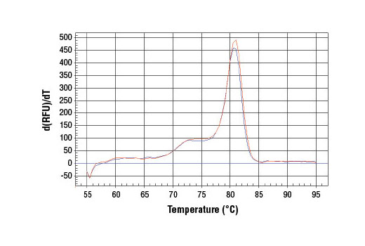 SimpleChIP® Human c-Fos Exon 3 Primers - 500 ul