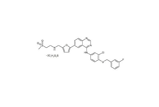 Lapatinib - 10 mg