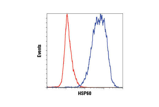 HSP/Chaperone Antibody Sampler Kit - 1 Kit