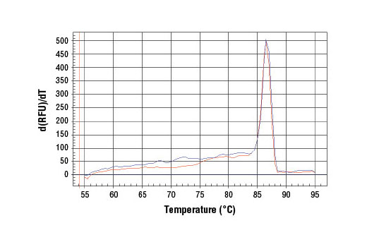 SimpleChIP® Human EP300 Promoter Primers - 500 ul