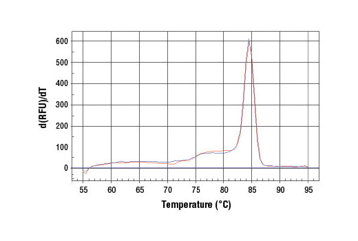 SimpleChIP® Human MITF Promoter Primers - 500 ul