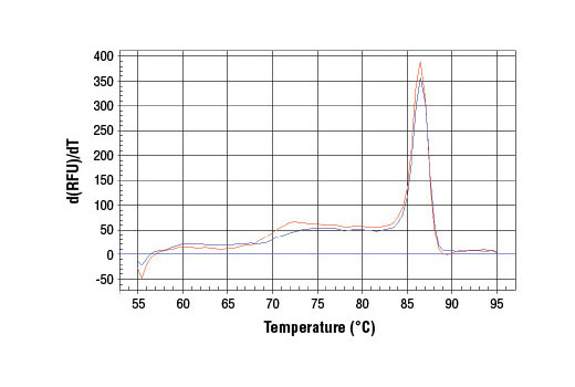 SimpleChIP® Human CCND1 Promoter Primers - 500 ul