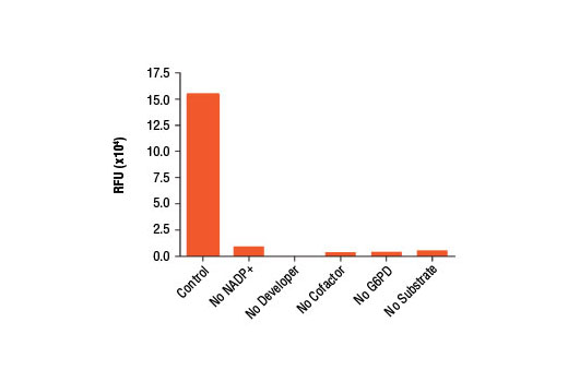 Glucose-6-Phosphate Dehydrogenase (G6PD) Activity Assay Kit - 1 Kit