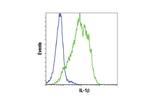 Senescence Associated Secretory Phenotype (SASP) Antibody Sampler Kit - 1 Kit