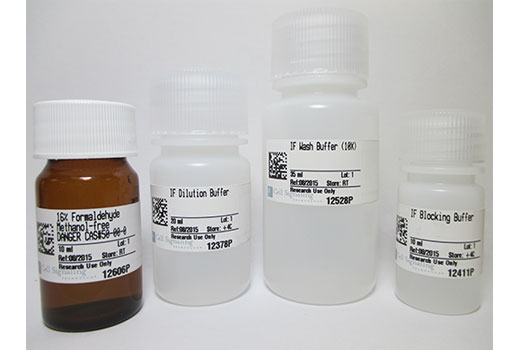 Immunofluorescence Application Solutions Kit - 1 Kit