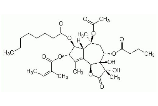 Thapsigargin - 1 mg