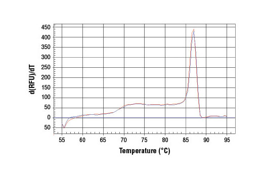 SimpleChIP® Human tRNA-Leu Anti-Codon (TAG) Primers - 500 ul