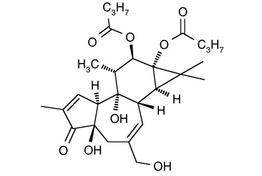 PDBu (Phorbol 12,13-Dibutyrate) - 1 mg