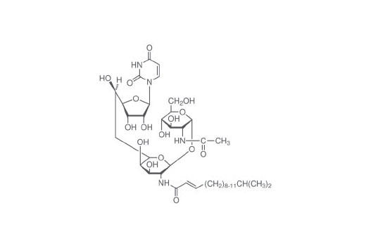 Tunicamycin - 5 mg